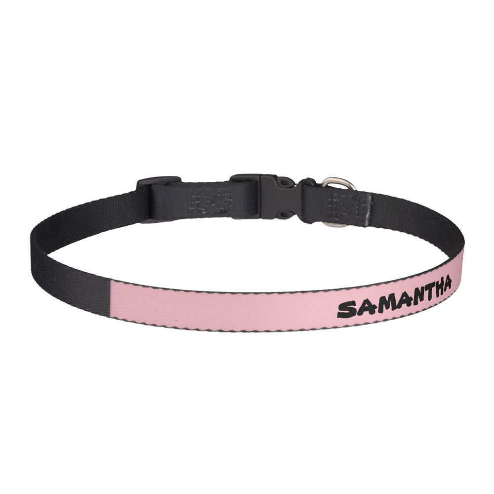 Large Dog Collar