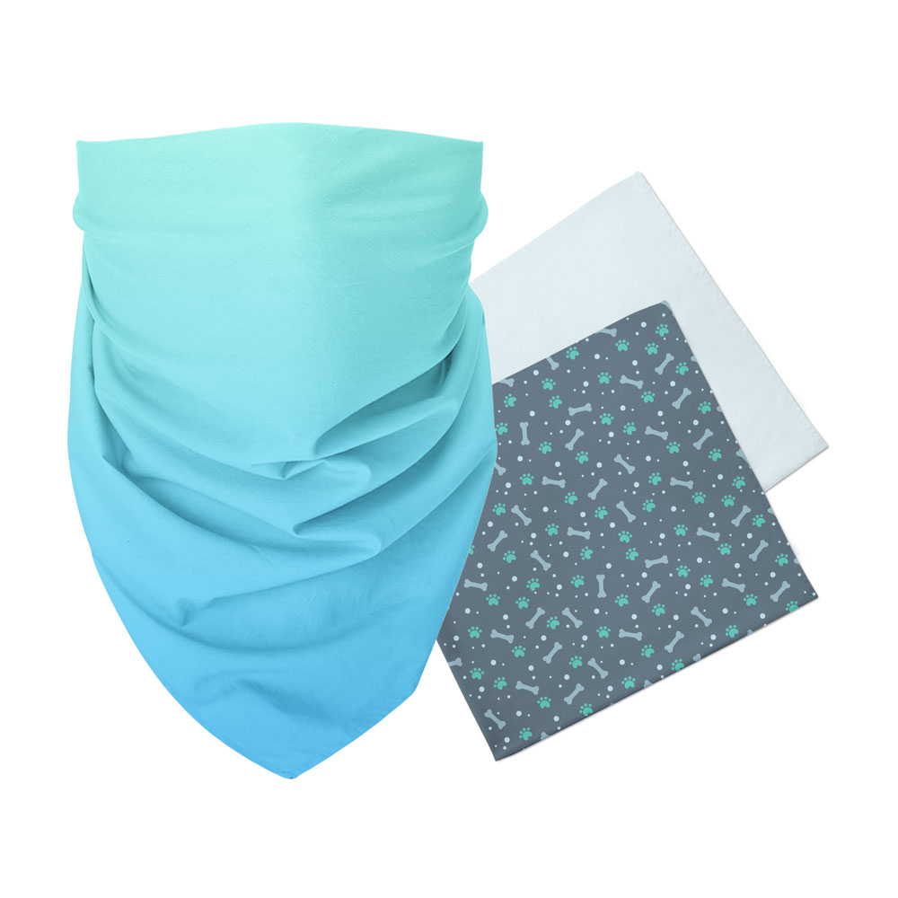 apparel/bandana